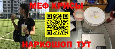 стафф Заводоуковск