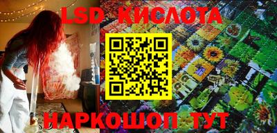 стафф Заводоуковск