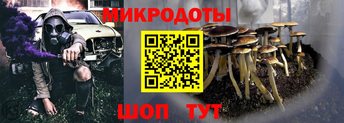 цена наркотик  Псилоцибиновые грибы Psilocybine cubensis  Вход с VPN  Ейск 