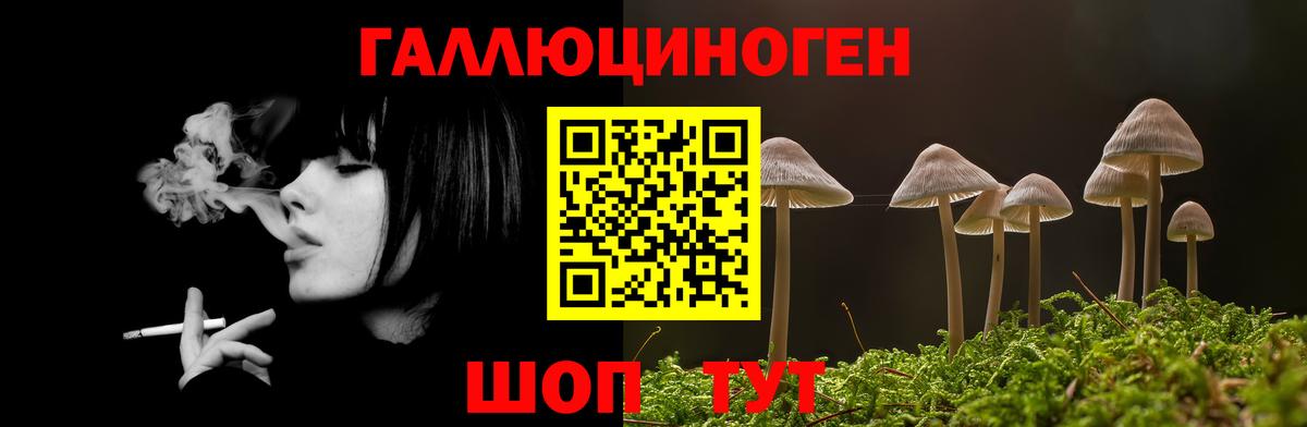 Псилоцибиновые грибы мицелий Ейск